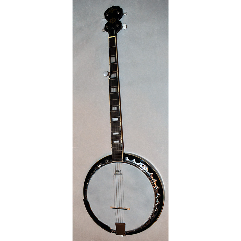 ROGUE B30 Deluxe 30-Bracket BANJO with GIG BAG - Excellent Condition ...